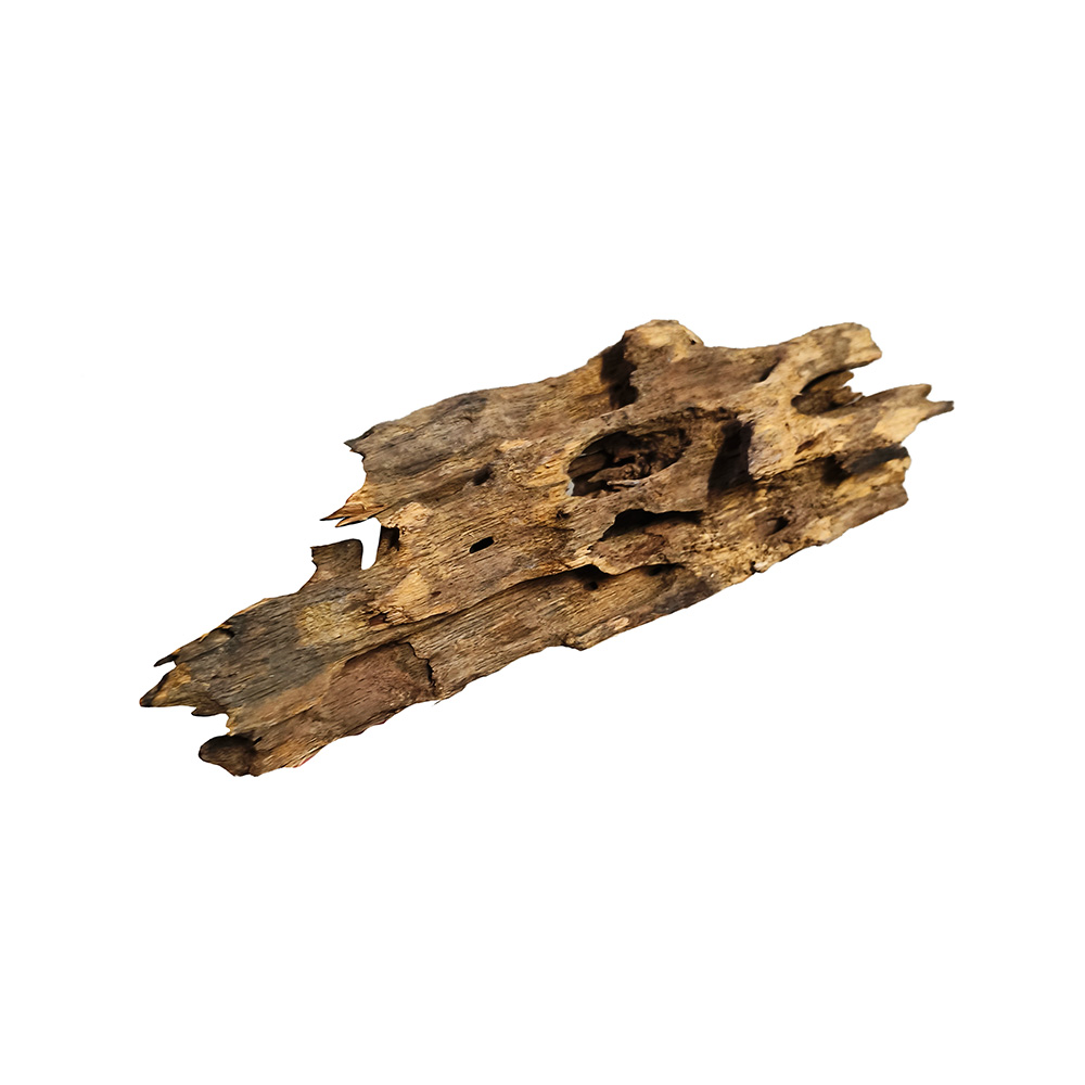Korzeń Dragon Wood Smoczy Korzeń M 18-30cm Dekoracja Akwarium Hardscape